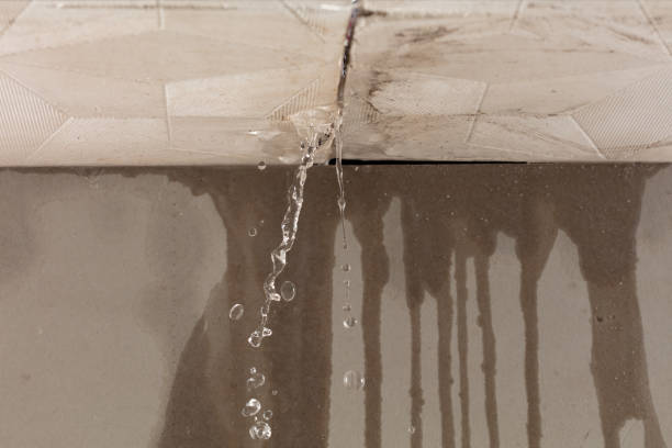 Professional Structural Drying technician working in Coleman, MI